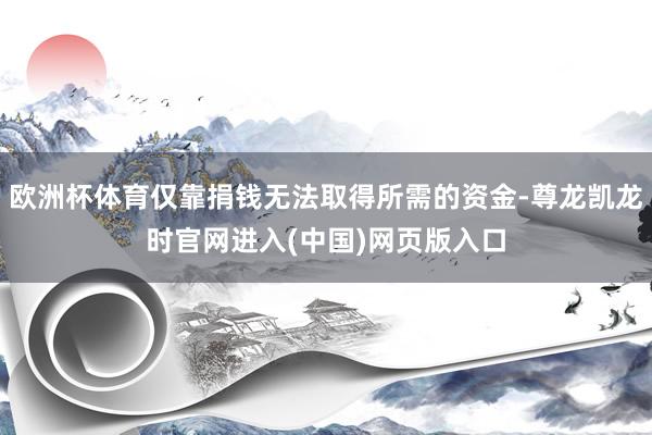欧洲杯体育仅靠捐钱无法取得所需的资金-尊龙凯龙时官网进入(中国)网页版入口