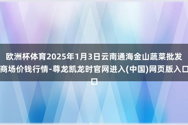 欧洲杯体育2025年1月3日云南通海金山蔬菜批发商场价钱行情-尊龙凯龙时官网进入(中国)网页版入口