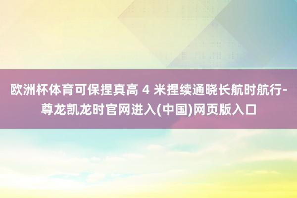 欧洲杯体育可保捏真高 4 米捏续通晓长航时航行-尊龙凯龙时官网进入(中国)网页版入口