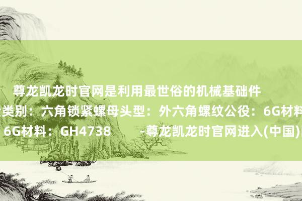 尊龙凯龙时官网是利用最世俗的机械基础件        高温合金GH4738螺栓类别：六角锁紧螺母头型：外六角螺纹公役：6G材料：GH4738        -尊龙凯龙时官网进入(中国)网页版入口