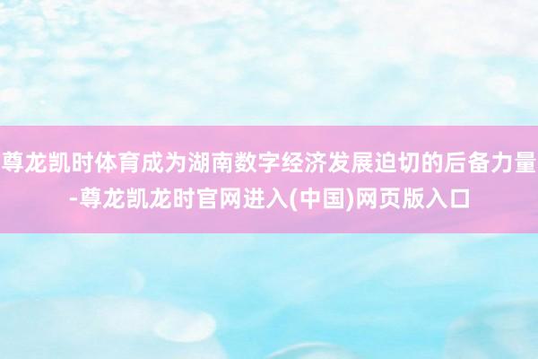 尊龙凯时体育成为湖南数字经济发展迫切的后备力量-尊龙凯龙时官网进入(中国)网页版入口