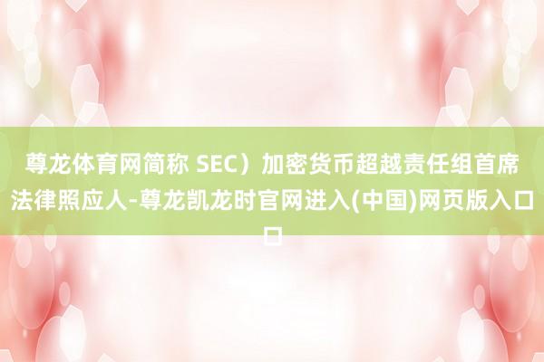 尊龙体育网简称 SEC)加密货币超越责任组首席法律照应人-尊龙凯龙时官网进入(中国)网页版入口