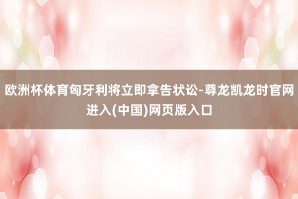 欧洲杯体育匈牙利将立即拿告状讼-尊龙凯龙时官网进入(中国)网页版入口