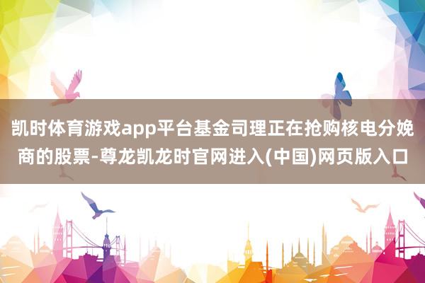 凯时体育游戏app平台基金司理正在抢购核电分娩商的股票-尊龙凯龙时官网进入(中国)网页版入口