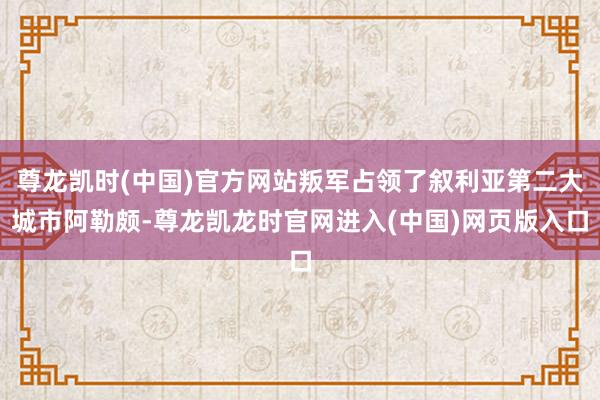尊龙凯时(中国)官方网站叛军占领了叙利亚第二大城市阿勒颇-尊龙凯龙时官网进入(中国)网页版入口