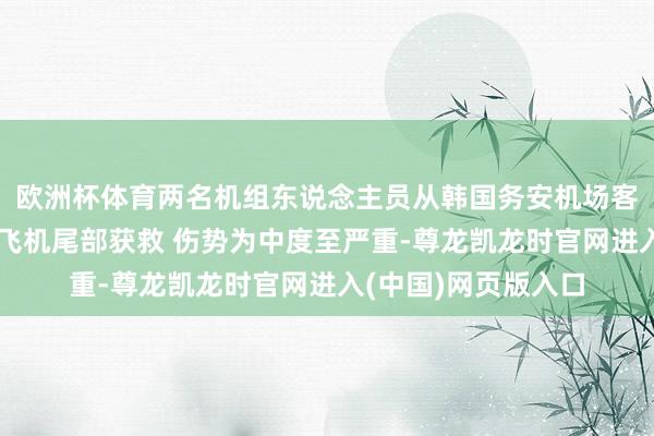 欧洲杯体育两名机组东说念主员从韩国务安机场客机碰撞动怒事故的飞机尾部获救 伤势为中度至严重-尊龙凯龙时官网进入(中国)网页版入口