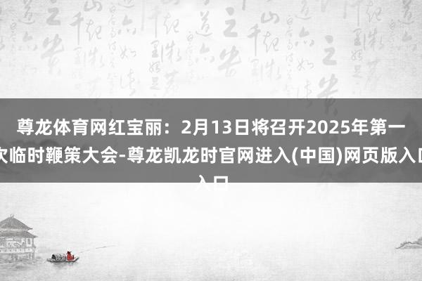 尊龙体育网红宝丽：2月13日将召开2025年第一次临时鞭策大会-尊龙凯龙时官网进入(中国)网页版入口