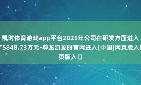 凯时体育游戏app平台2025年公司在研发方面进入了5848.73万元-尊龙凯龙时官网进入(中国)网页版入口