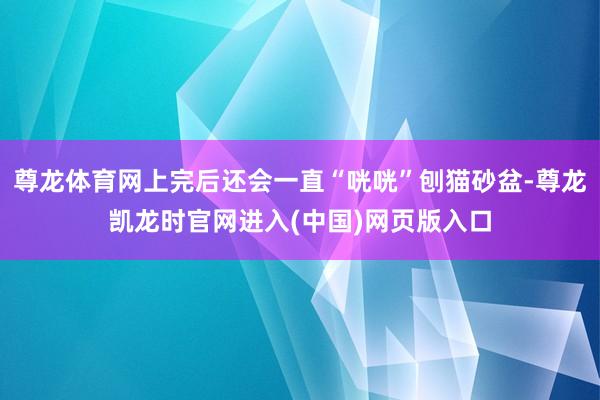 尊龙体育网上完后还会一直“咣咣”刨猫砂盆-尊龙凯龙时官网进入(中国)网页版入口