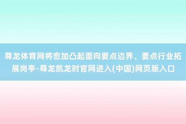 尊龙体育网将愈加凸起面向要点边界、要点行业拓展岗亭-尊龙凯龙时官网进入(中国)网页版入口